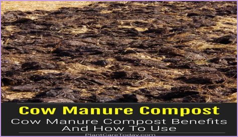 What is the NPK of composted cow manure?